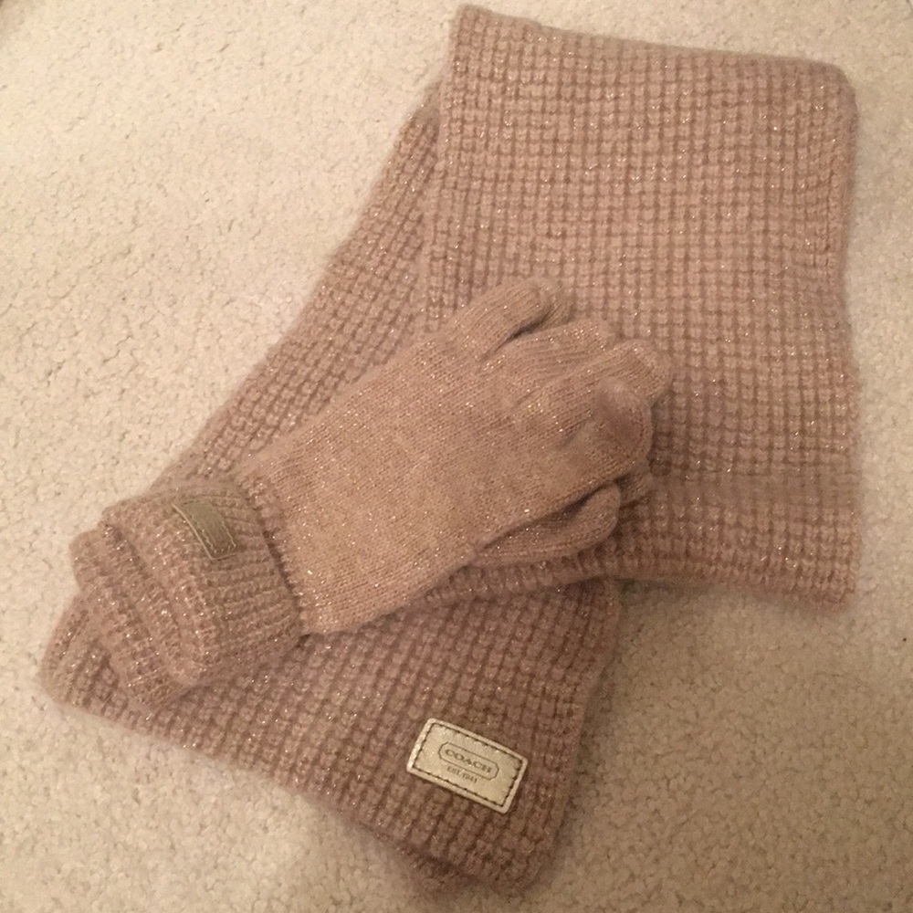 Tan/Gold Coach Scarf and Gloves